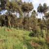 1.7 ac Land at Kimende thumb 2