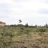 0.045 ha Residential Land at Kiserian thumb 12