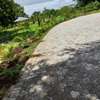 Residential Land in Nyali Area thumb 13
