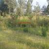 500 m² Commercial Land in Kikuyu Town thumb 6