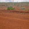 50 by 100 plots for Sale located in Nachu, Gatune. thumb 1