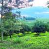 JUJA PLOTS FOR SALE thumb 0