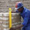 Plastering/ Bricklaying/ Gardening/ Garden Clearance Nairobi thumb 6
