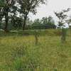 0.25 ac Land at Kibiko thumb 2