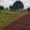 0.5 ac Residential Land at Hibiscus Drive thumb 2