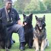 Expert Dog Trainers-Home Dog Training in Nairobi thumb 10