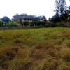 0.5 ac Land at Comboni thumb 3