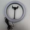 10 Inches Ring Light With 2.1m Tripod thumb 0