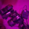 Nikon D3200 Camera thumb 0