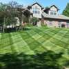Lawn Mowing And Garden Services | Request your free, no-obligation grass cutting quotation now thumb 14
