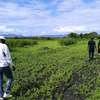 Affordable plots for sale in Mwea thumb 0