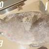 Tilapia fish - fresh, frozen & fried thumb 3