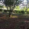 405 m² residential land for sale in Ngong thumb 2