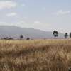30 ac land for sale in Nyandarua County thumb 6