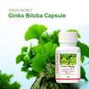 Green world ginkgo biloba capsule thumb 0