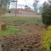 5 acres for sale in Bogani Karen thumb 3