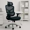 Office Chair: Orthopedic Adjustable Office Seat thumb 1