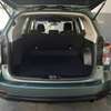 Subaru Forester Non turbo Green 2018 thumb 6