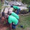 Professional Hedge Trimming & Garden Clearance Nairobi thumb 2