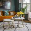 Coffee Table; Marble Nesting Coffee Table in Kemera thumb 0