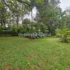 5 Bed House with En Suite in Rosslyn thumb 2