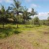 Quarter acre piece of land for sale at Vipingo-Gongoni 2477 thumb 8