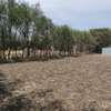 0.25 ac Land in Ruai thumb 10