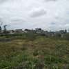 50x100 Plot for Sale Off Eastern By pass thumb 4