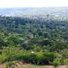 8 acres in Murang'a Kiharu ideal for farming/commercial thumb 1