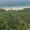 12 Acres Front Row Beach Is Available For Sale In Malindi thumb 0