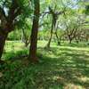 2.5 ac Land at Serena thumb 1