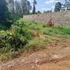 50X100ft plot at Kenol Kabati in Murang'a county thumb 3