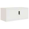 2 Door Low Level Office File Cabinet thumb 1