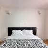 Furnished 1 Bed Apartment with Borehole in Nyari thumb 11