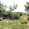 5000 m² residential land for sale in Mwea thumb 1