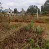 40*80ft plots for sale at Kenol town in Muranga county thumb 8