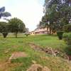 1.5 ac commercial property for rent in Riverside thumb 12