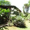 FOR SALE – PRESTIGIOUS PROPERTY LAVINGTON, NBI (0.8 ACRES) thumb 2