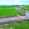 Ruiru East Mwalimu Farm plots for sale- Haven Court thumb 3