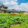 0.05 ha Residential Land at Kamangu thumb 0