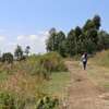 50*100 Land For Sale In Nakuru thumb 3