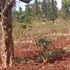 Kenol town commercial/residential plots for sale thumb 1