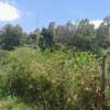 Residential Land at Karuri thumb 8