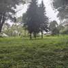 5 ac Land in Kitisuru thumb 9