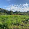 6,000 m² Land in Limuru thumb 9