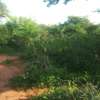 600 Acres For Sale in Mutha Region of Kitui County thumb 0