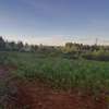0.1 ha Residential Land in Kikuyu Town thumb 7