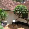 6 Bed Townhouse with Garden in Lavington thumb 15