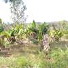 4 Acres Land for Sale thumb 1