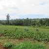 3.25 ac Land at Ngecha-Wangige Rd thumb 2